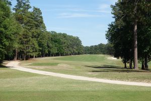 Palmetto 10th